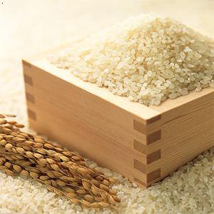 五常稻花香大米价格